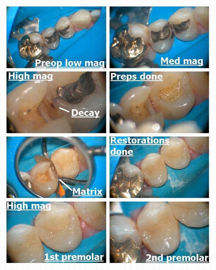 Resize of Two composites.jpg